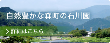 自然豊かな森町の石川園