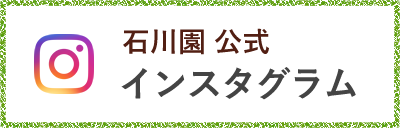 石川園 公式インスタグラム