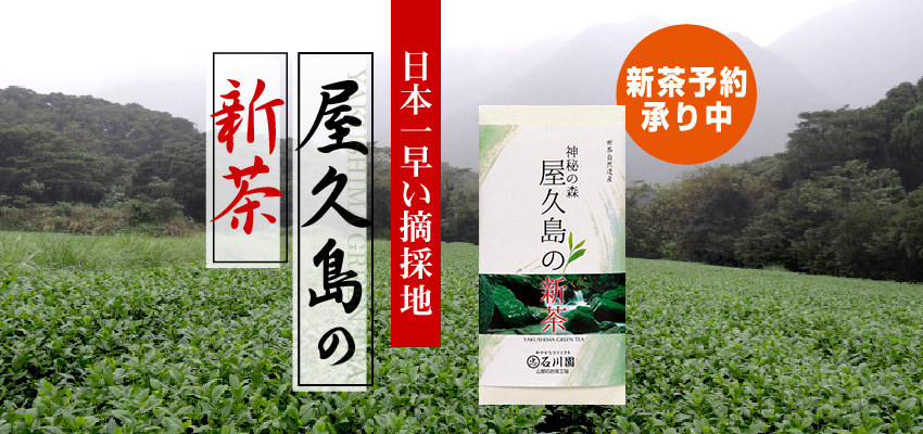 屋久島茶×静岡茶の匠・石川園プロデュース「屋久島の新茶」販売