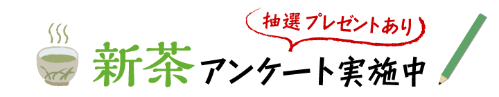 新茶アンケート実施中！