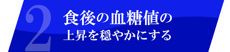 食後の血糖の値上昇を穏やかにする