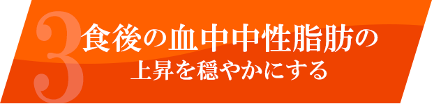 食後の血中中性脂肪の上昇を穏やかにする
