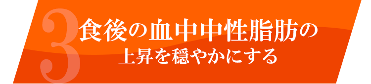 食後の血中中性脂肪の上昇を穏やかにする