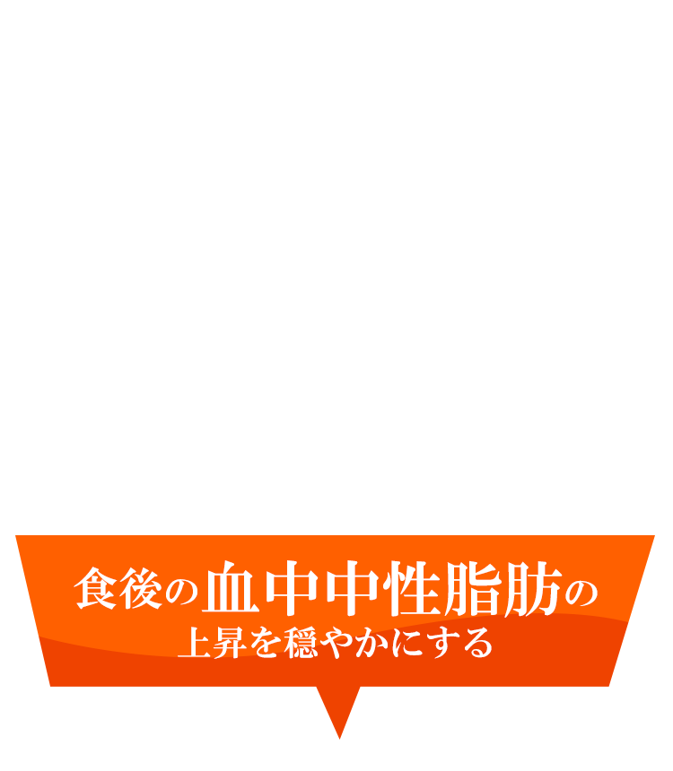 食後の血中中性脂肪の上昇を穏やかにする