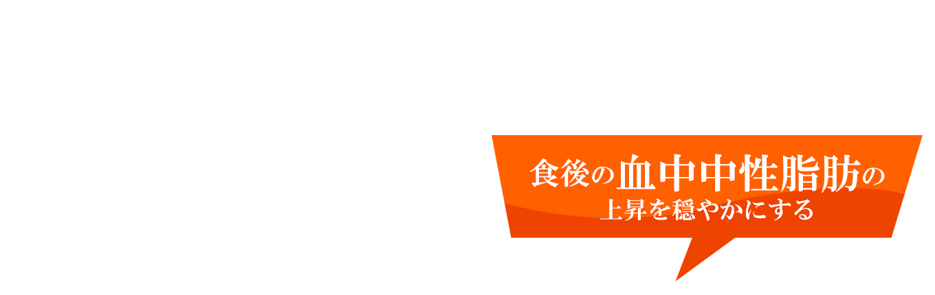 食後の血中中性脂肪の上昇を穏やかにする